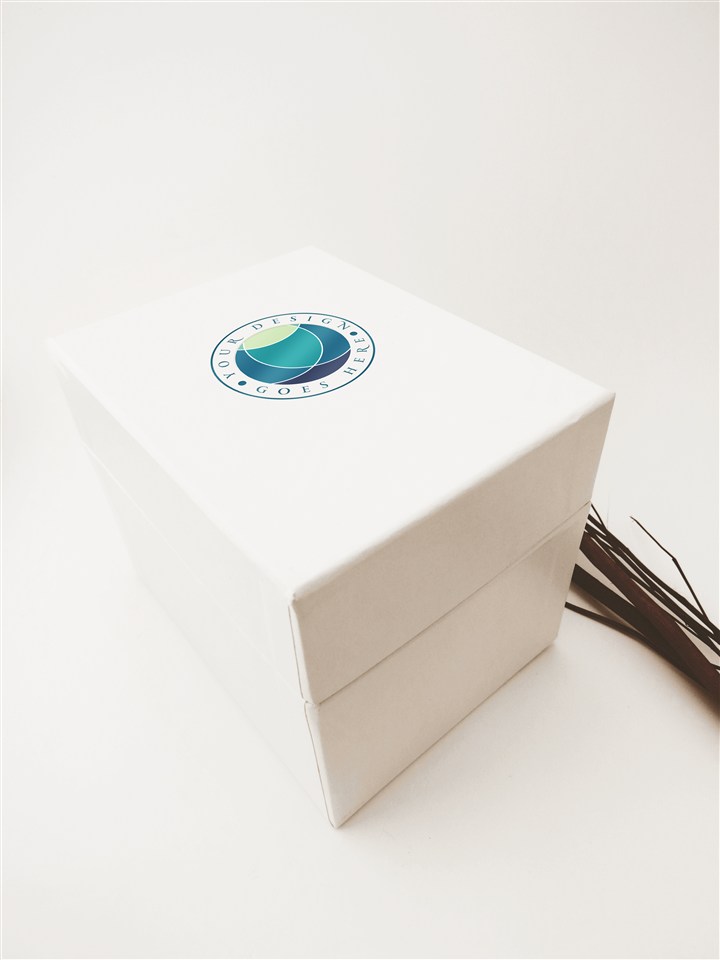 公司产品LOGO样机模板