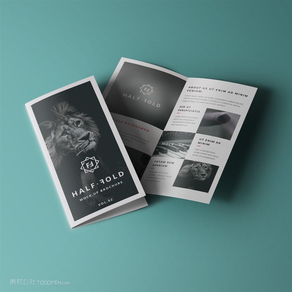 折页宣传页双折页样机