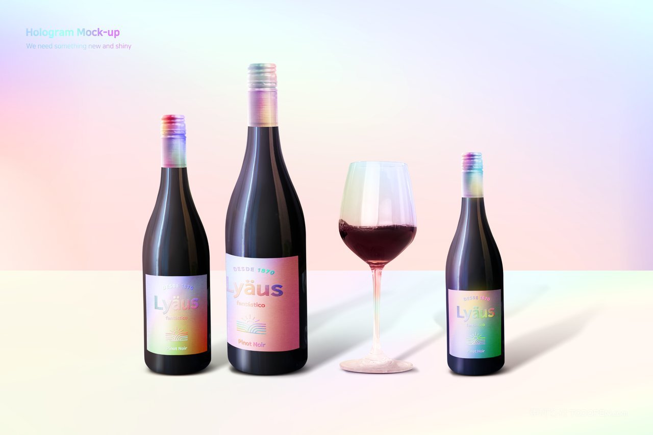 彩色渐变互联网企业vi展示样机 (9)