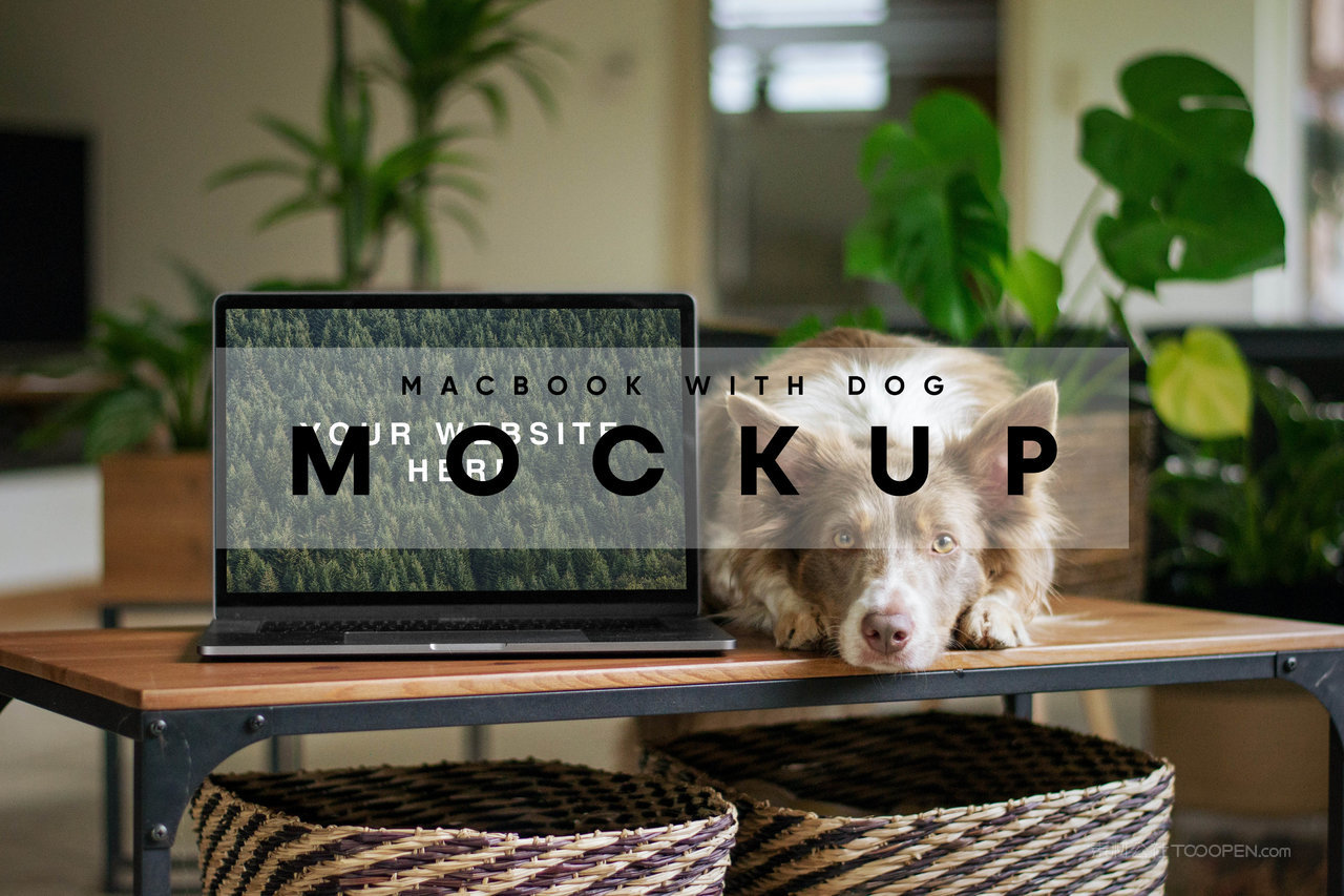 pc端网页展示样机