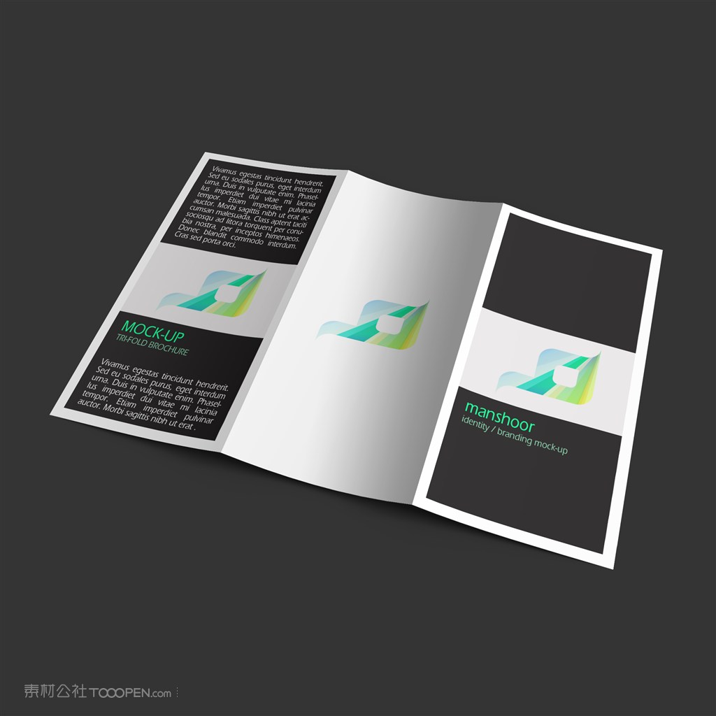 折页宣传页三折页样机