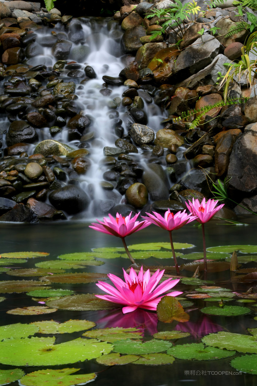 原始森林风景画图片 (129)