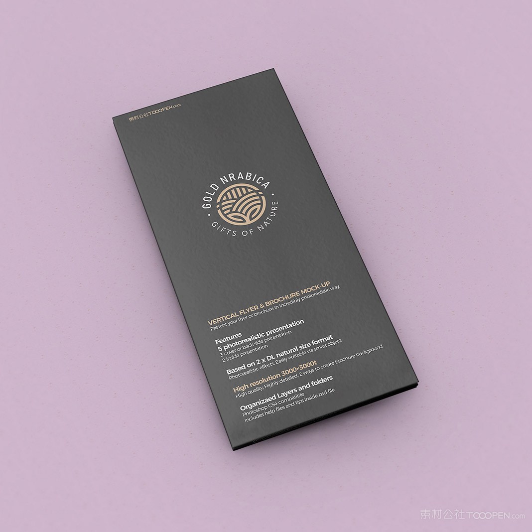 三折页宣传单贴图样机模板