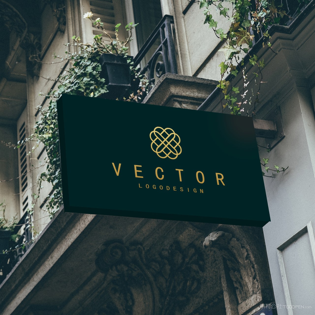 珠宝店店招贴图样机