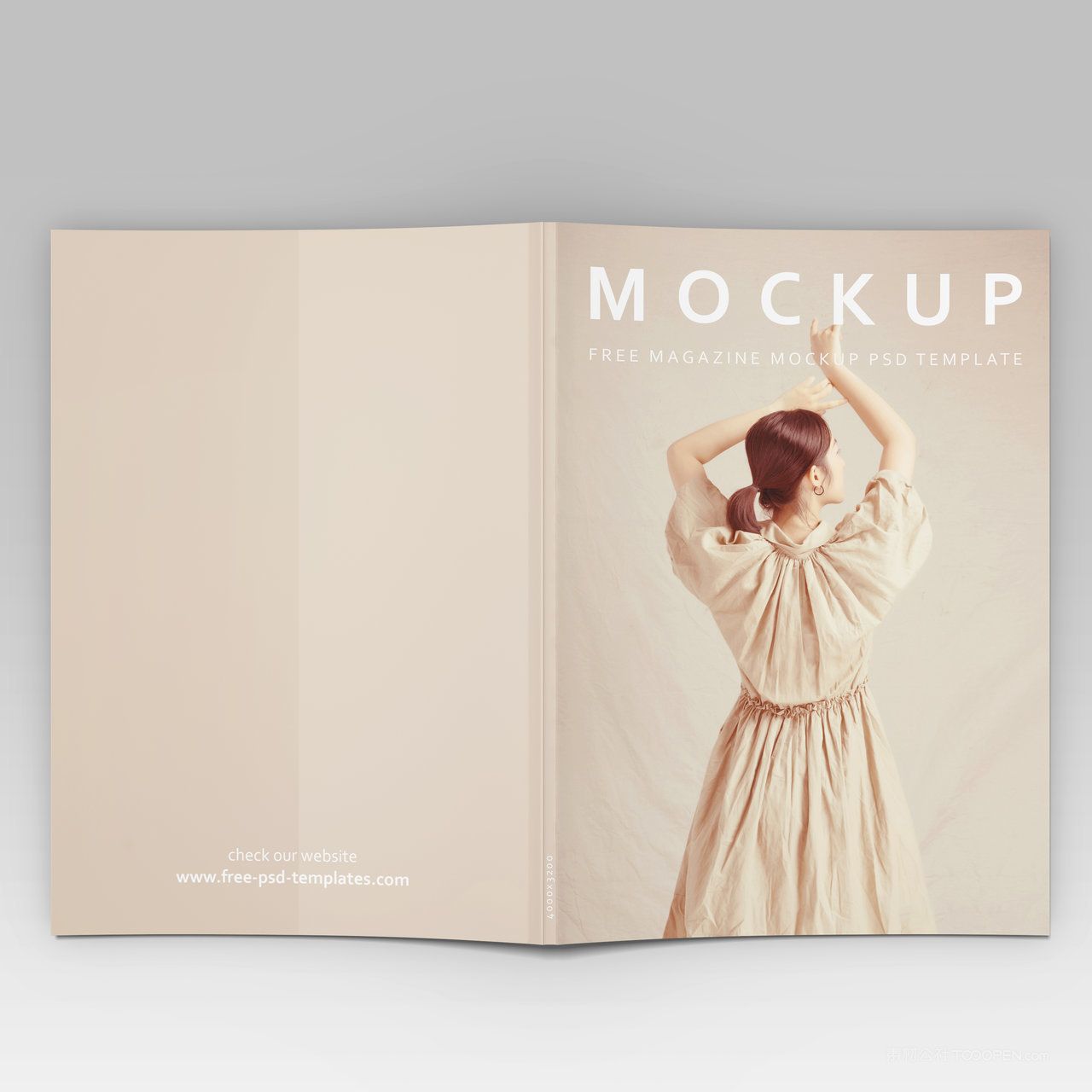 杂志画册正反面贴图样机