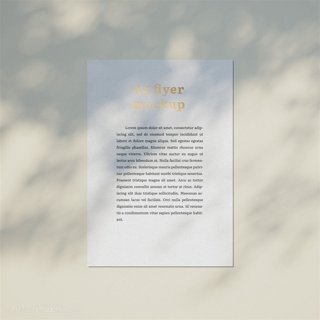 光影效果下的宣传单业务文档贴图样机