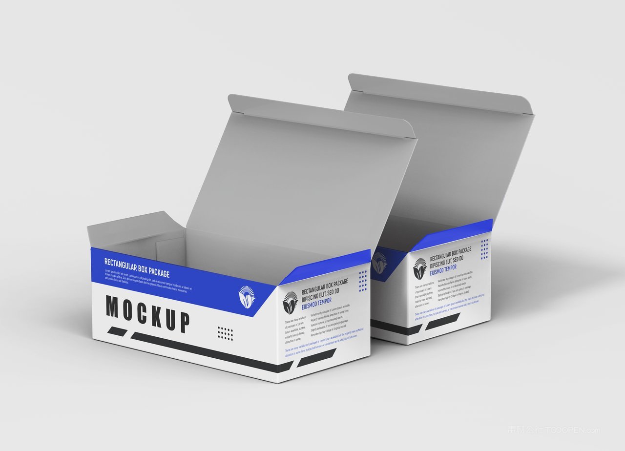 【2108期】长方形药包包装盒样机 (3)