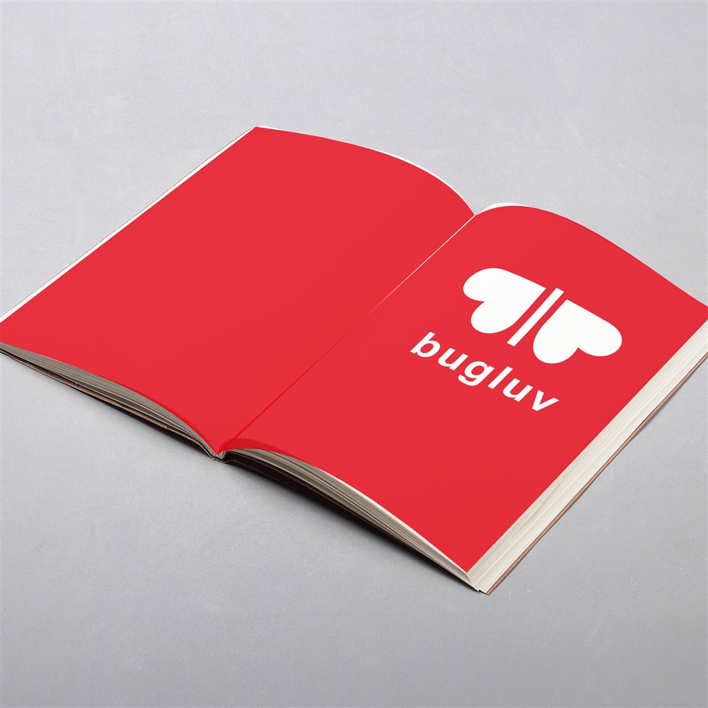 翻开的画册内页样机模版