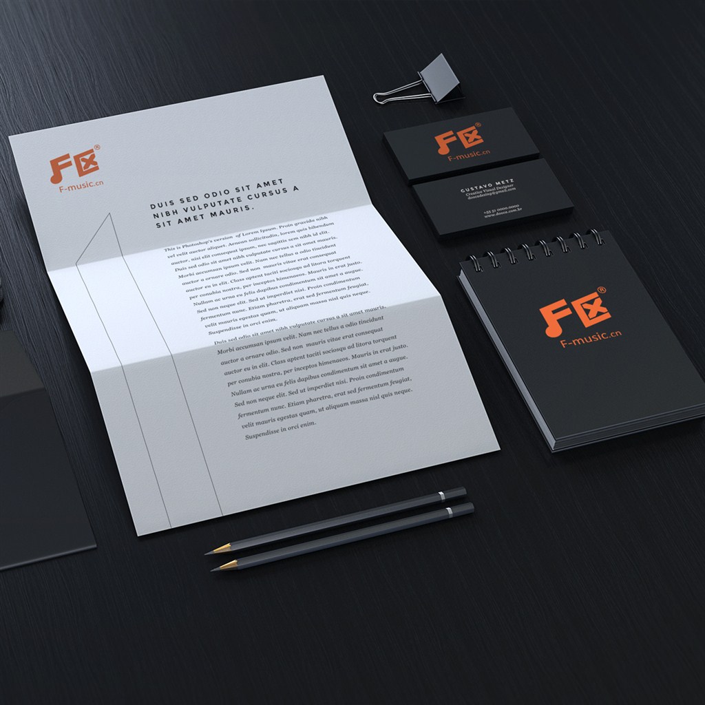 VI设计模板样机