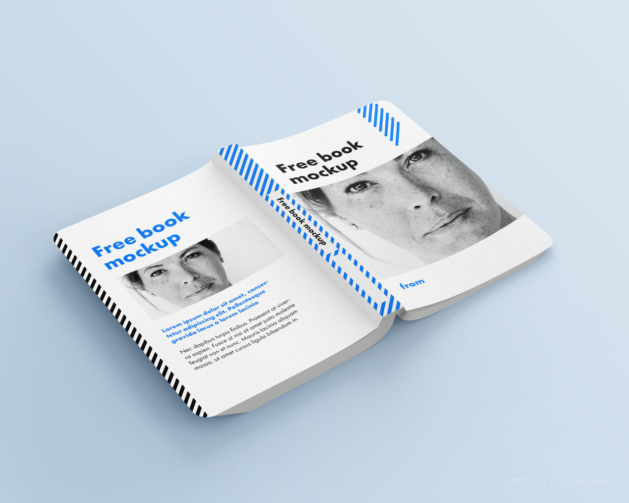 精装硬壳厚厚的书本书籍样机 (12)