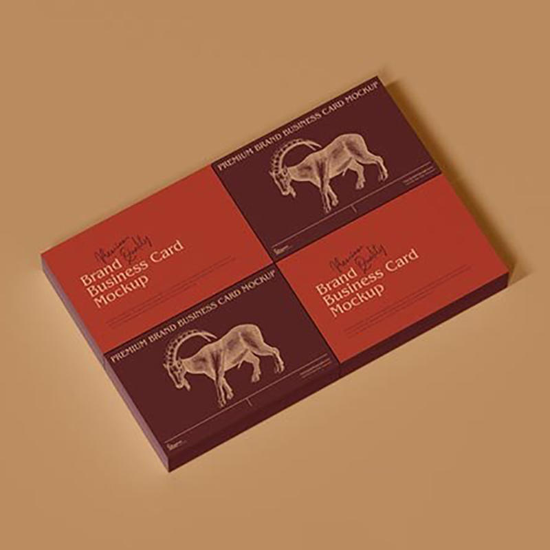 名片样机模板