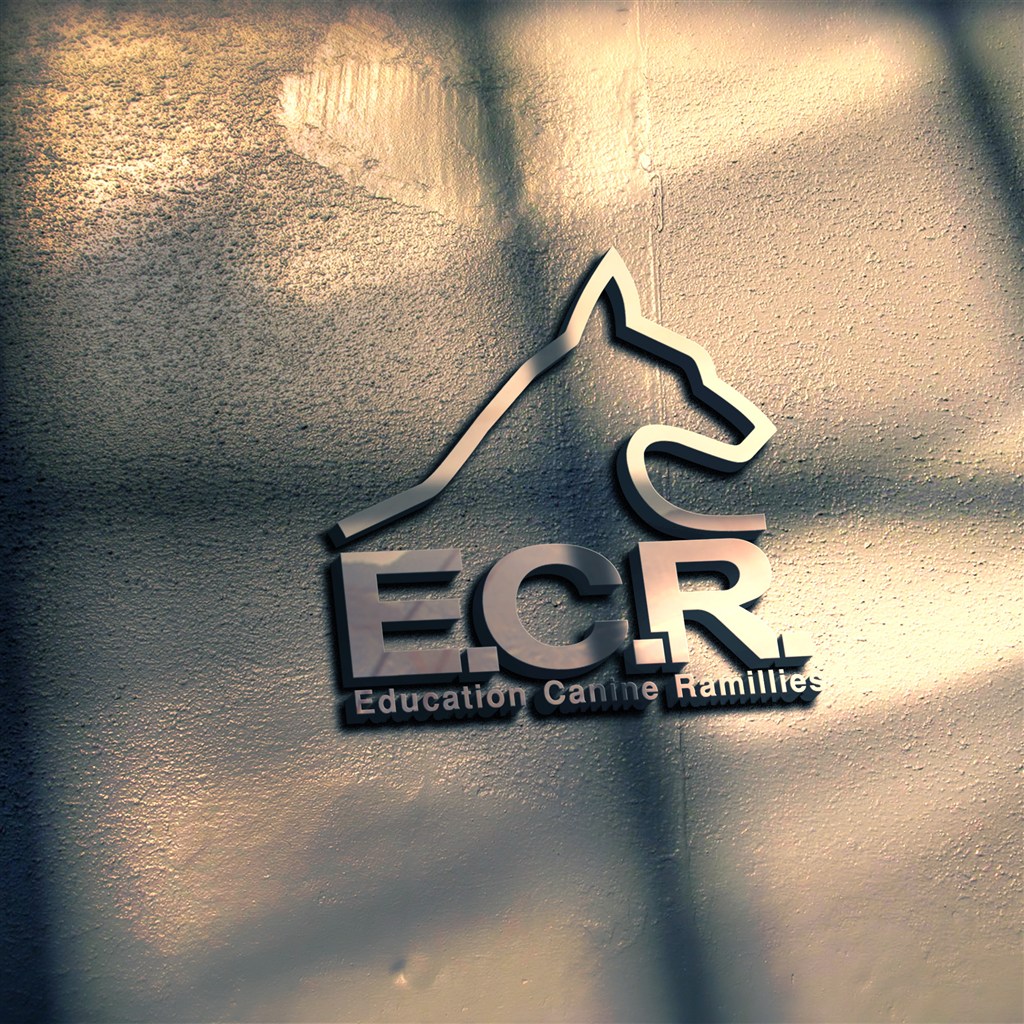 工业风水泥墙金属logo