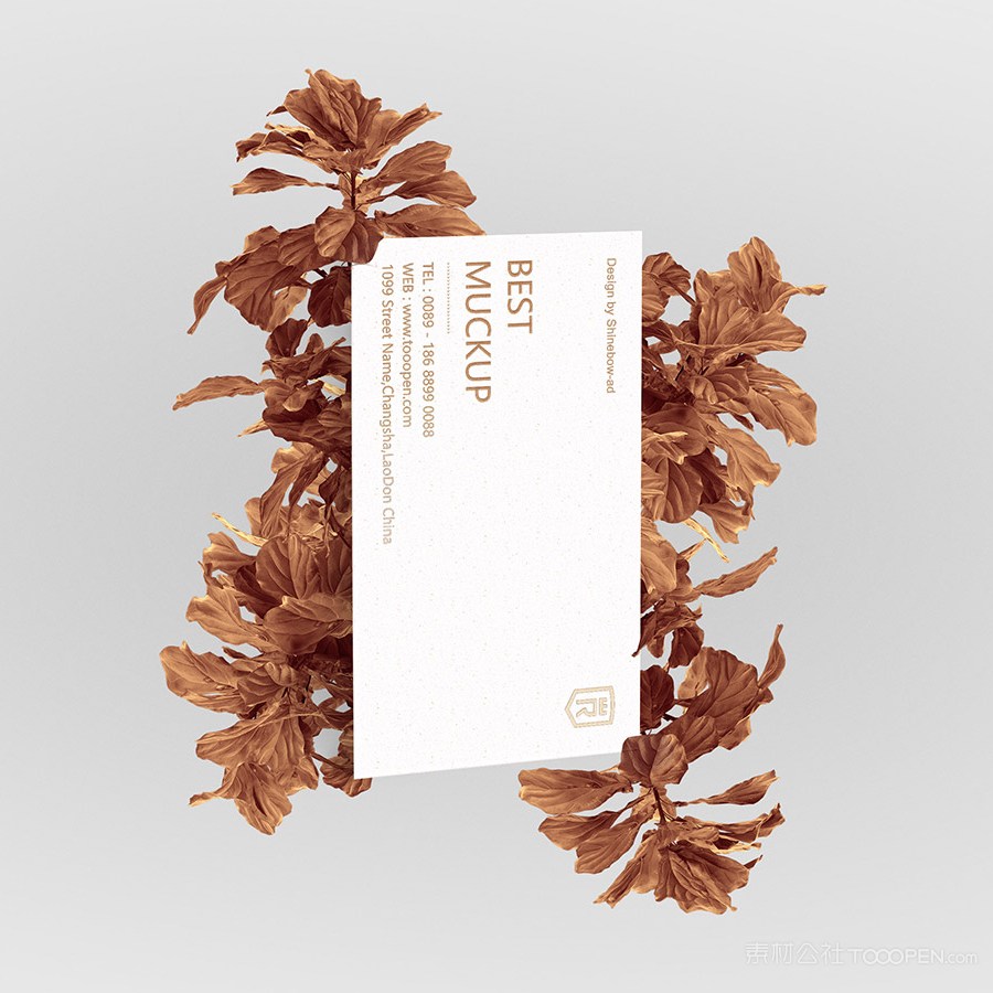 树叶上的名片贴图样机