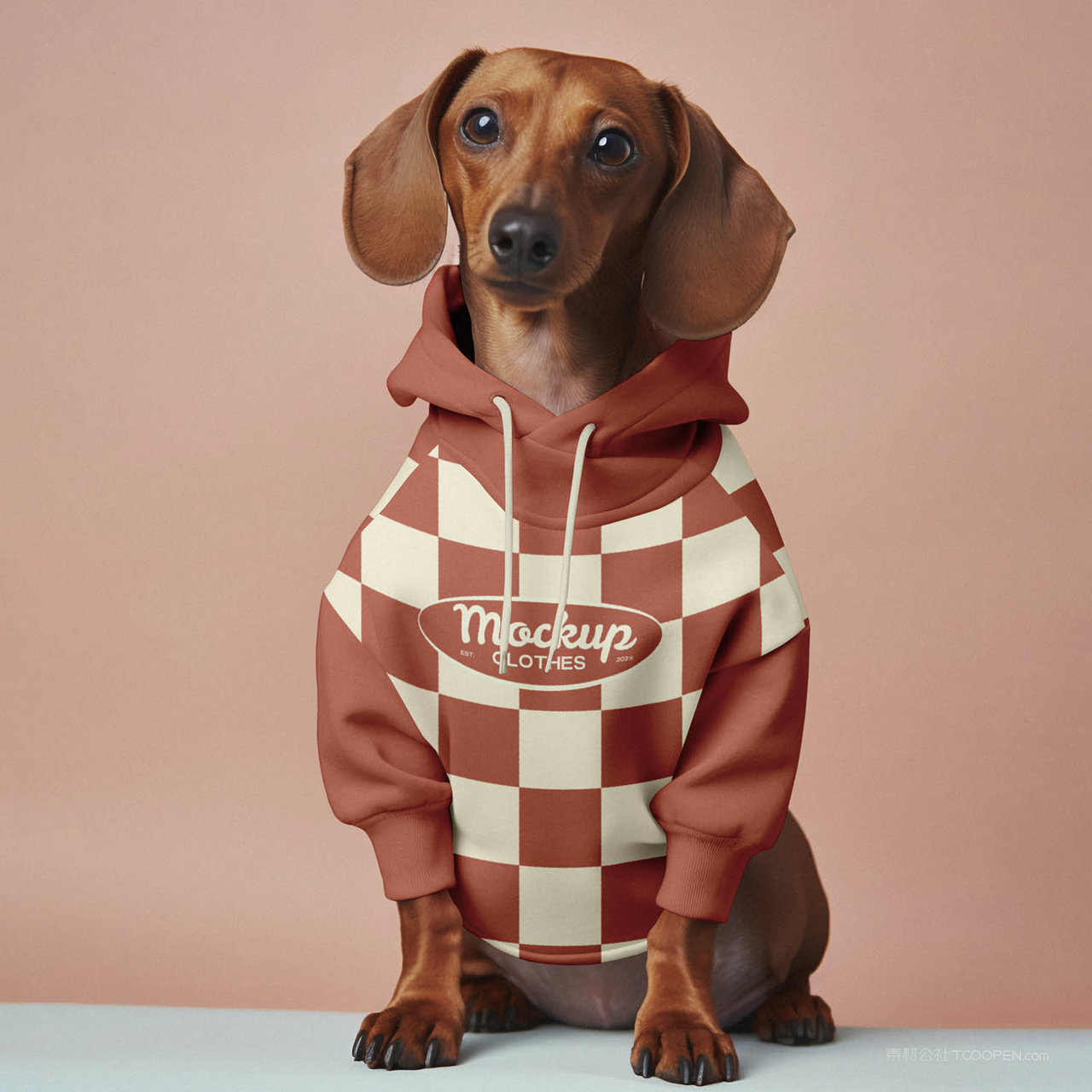 可爱狗狗服饰萌宠衣服贴图样机