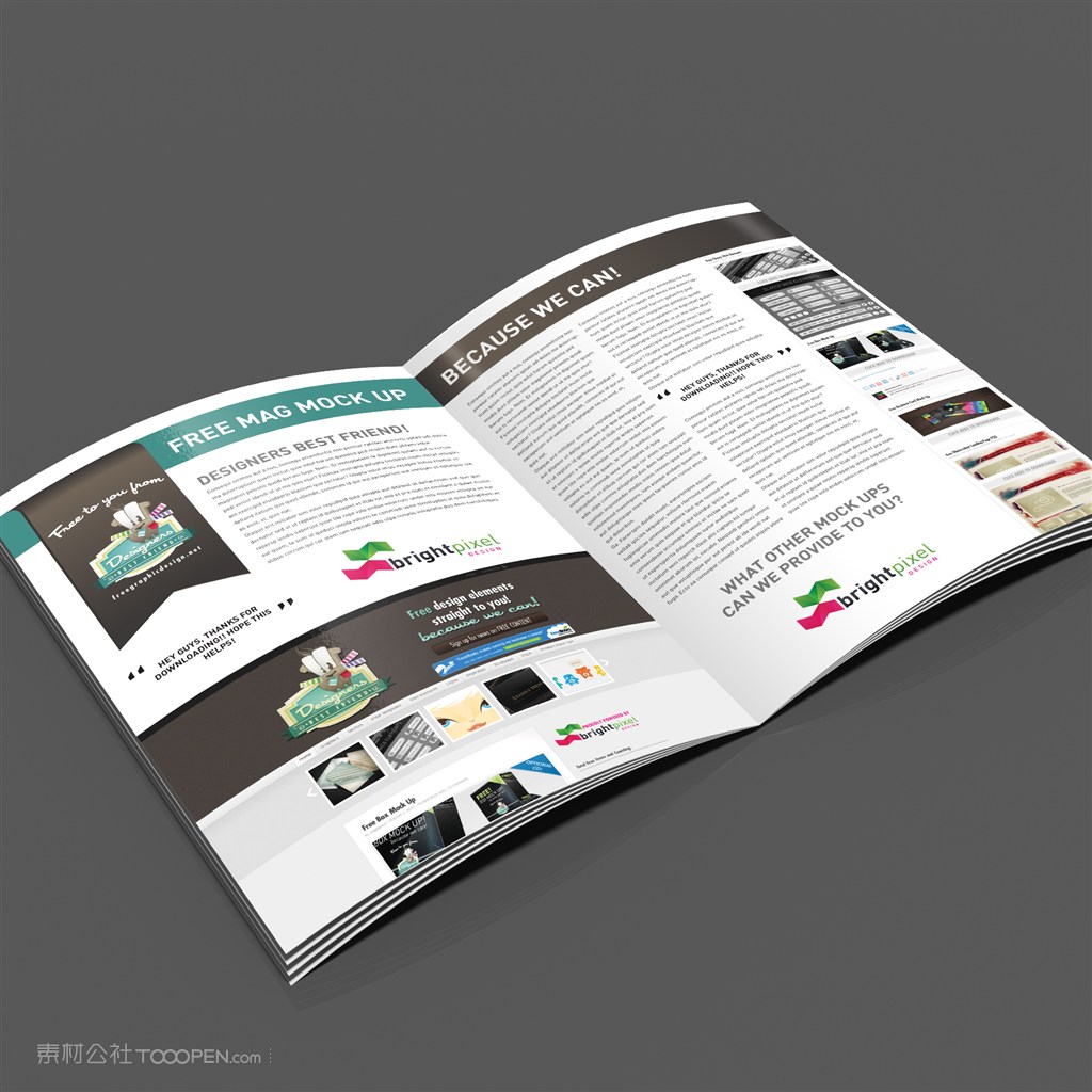 宣传册宣传页DM杂志样机
