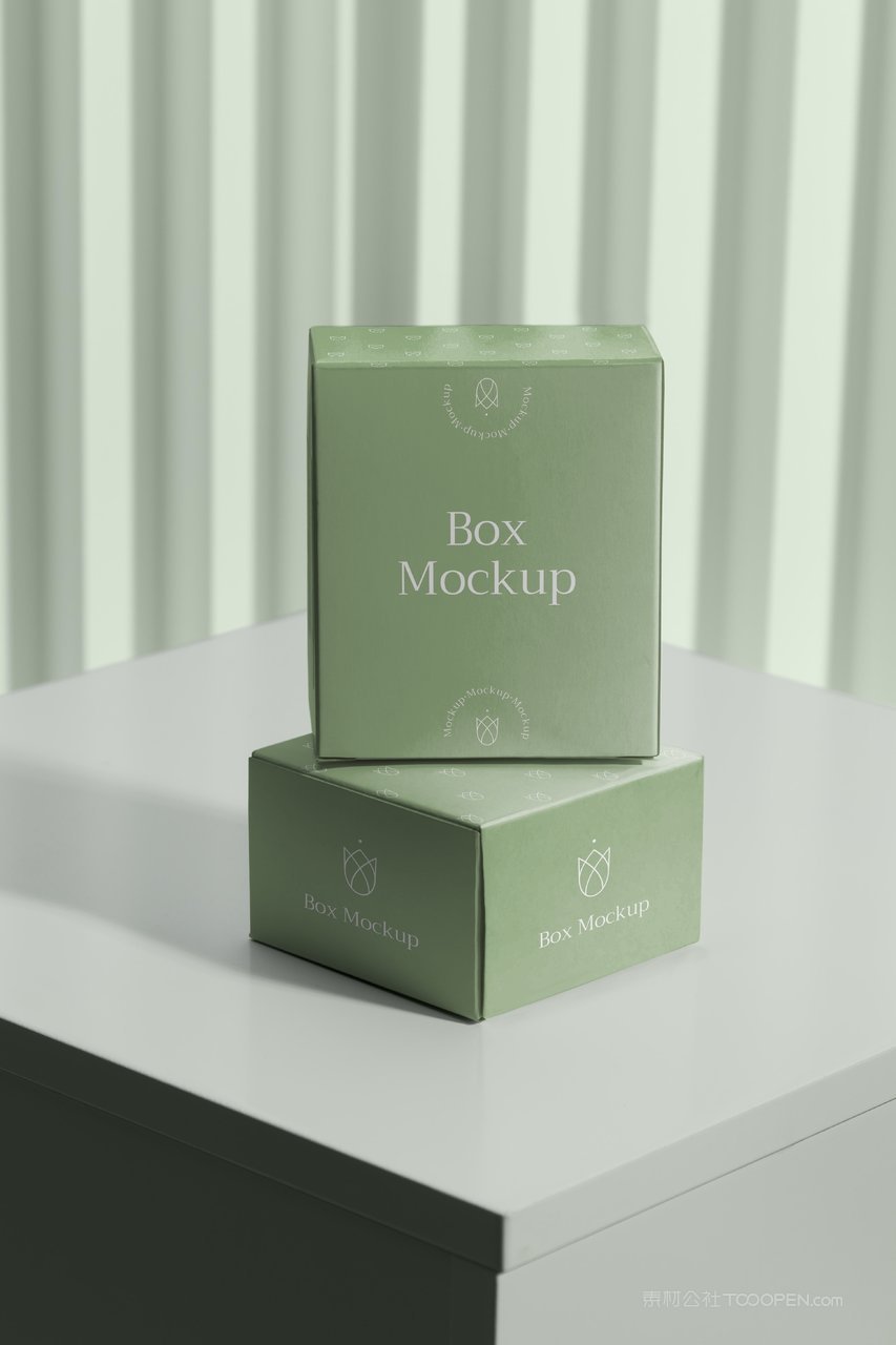 清新绿高级光影精品纸盒纸箱样机 (2)