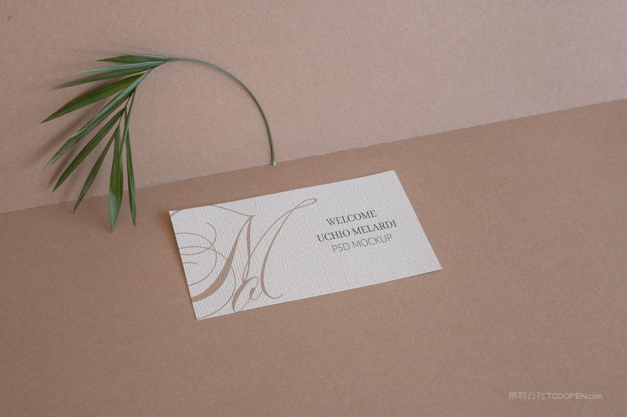 商务粉色光影名片vi品牌样机