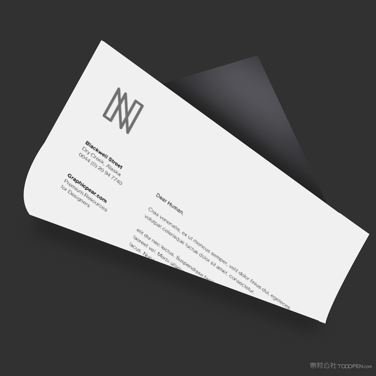 黑色轻奢vi文档贴图样机