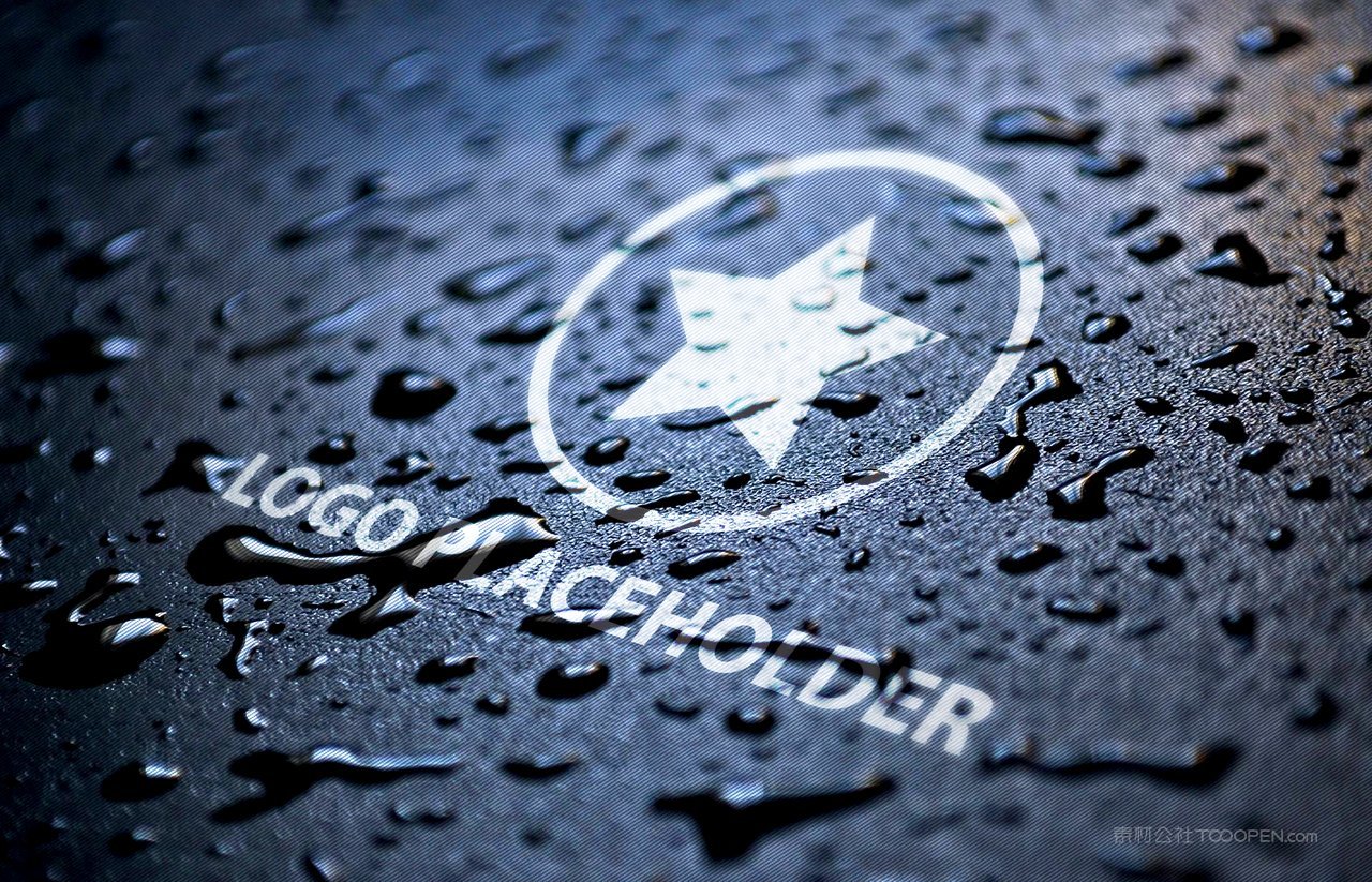 企业通用logo标志样机 (17)