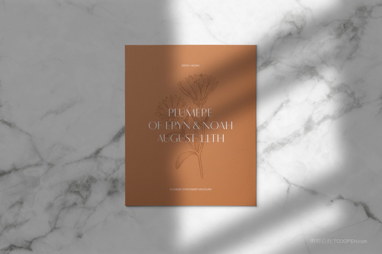 复古文艺光影海报样机 (6)