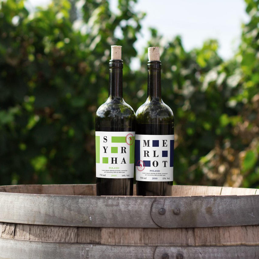 瓶装饮品包装瓶场景展示样机 (21)