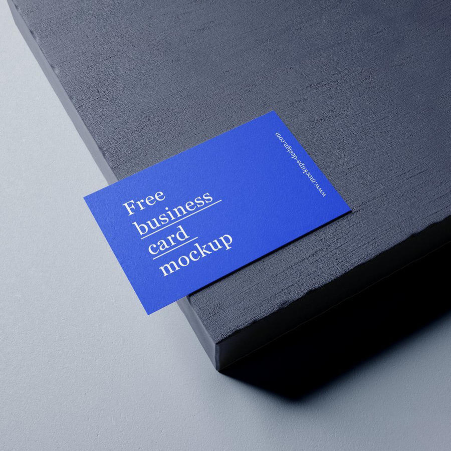 简洁蓝色商务名片场景样机 (2)