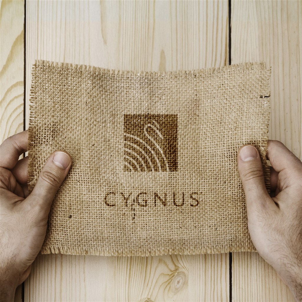 手持l布料ogo样机