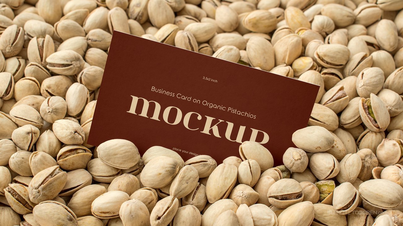 开心果名片样机