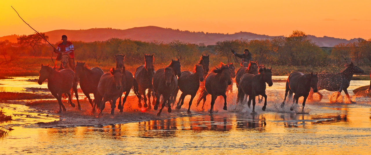 河北承德坝上风光 (43)