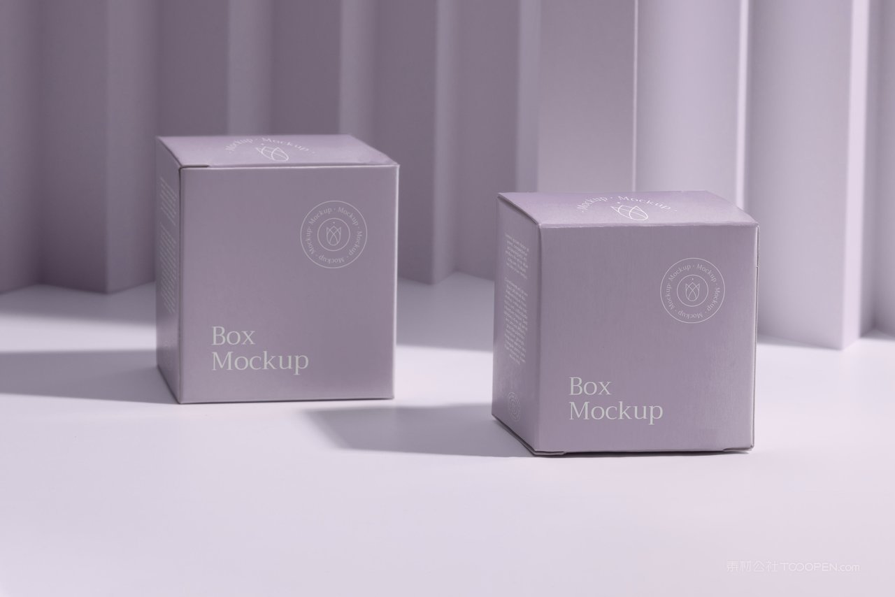 紫色光影精品纸盒纸箱样机 (5)