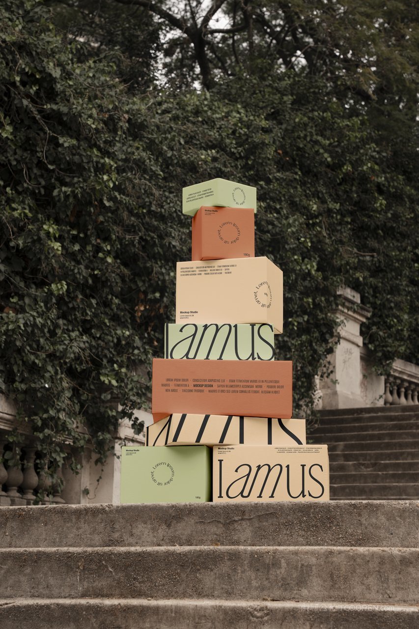 【2190期】手持多规格包装盒纸盒样机 (3)