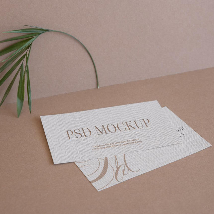 文艺植物绿叶名片光影场景样机