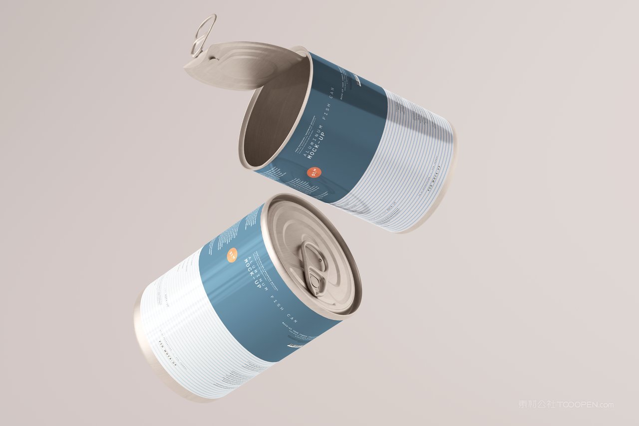 文艺易拉罐食品密封罐包装样机 (20)