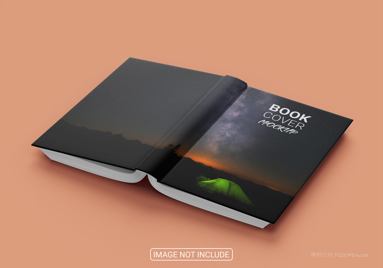精装书画册样机