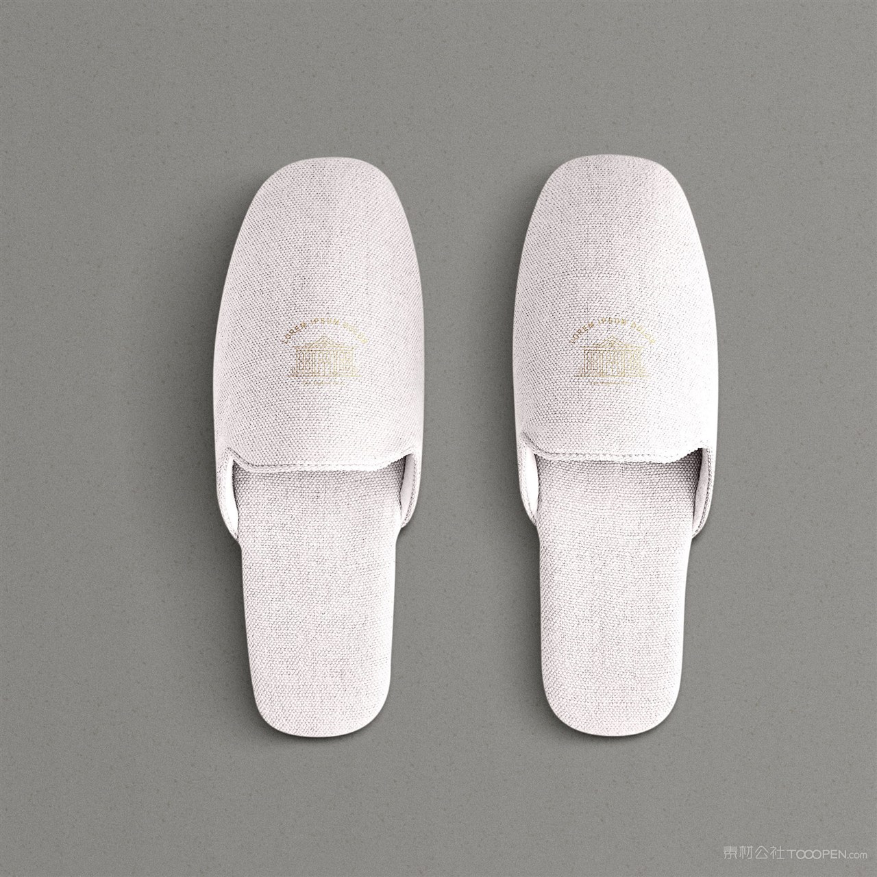 酒店VI一次性拖鞋贴图样机