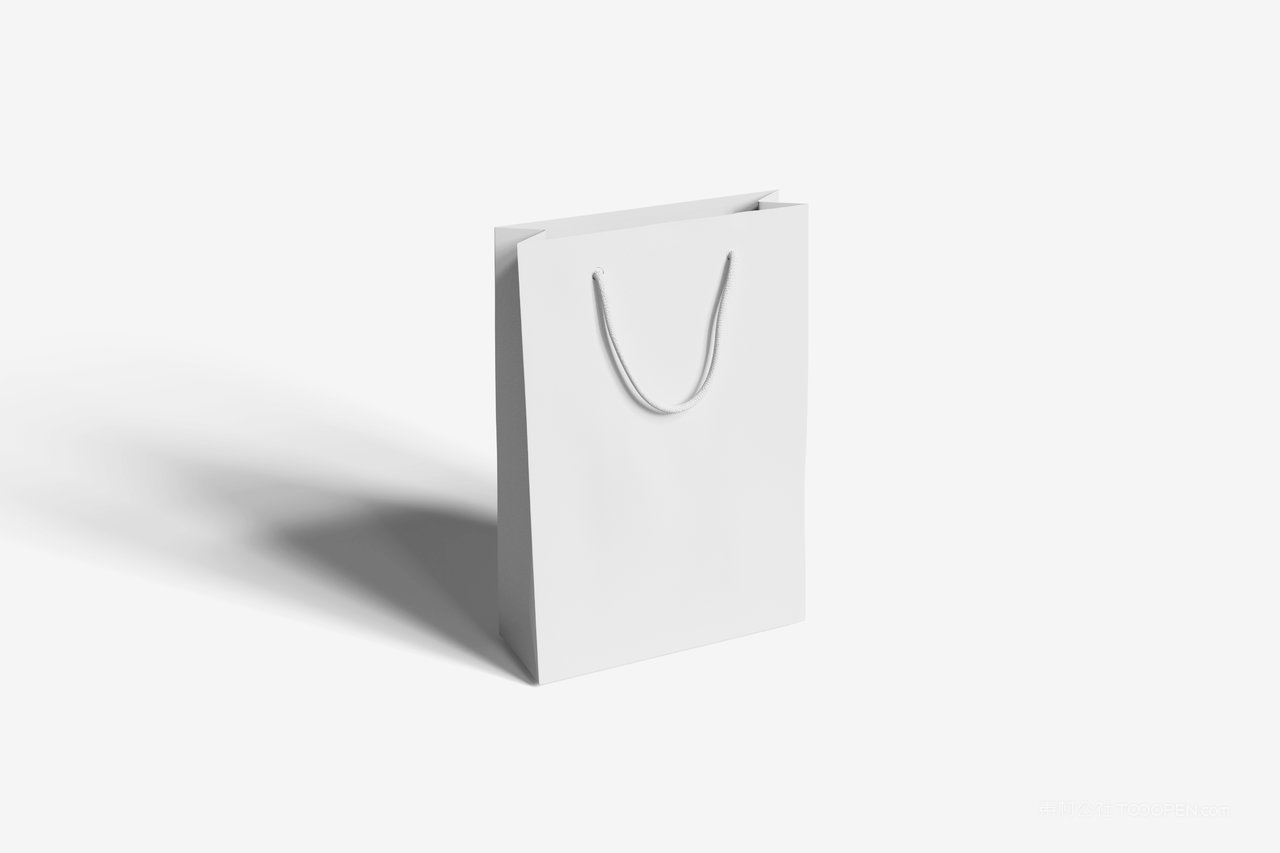 纸袋手提袋样机