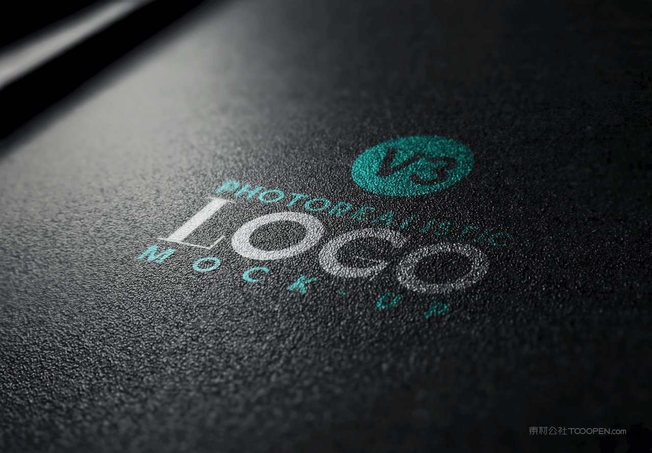 企业通用logo标志样机 (121)