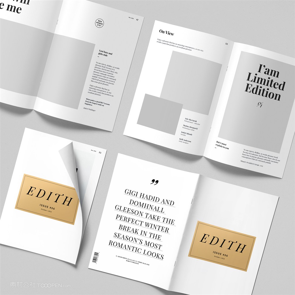 宣传册杂志画册展示样机