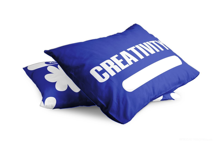 品牌VI形象展示样机抱枕