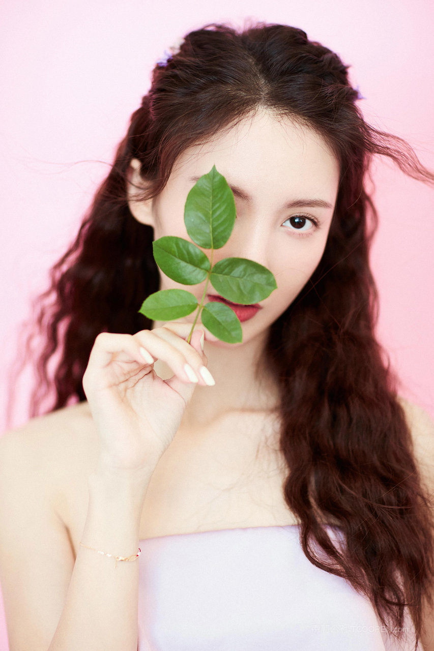 拿着树叶的国内清纯女明星金晨高清大图