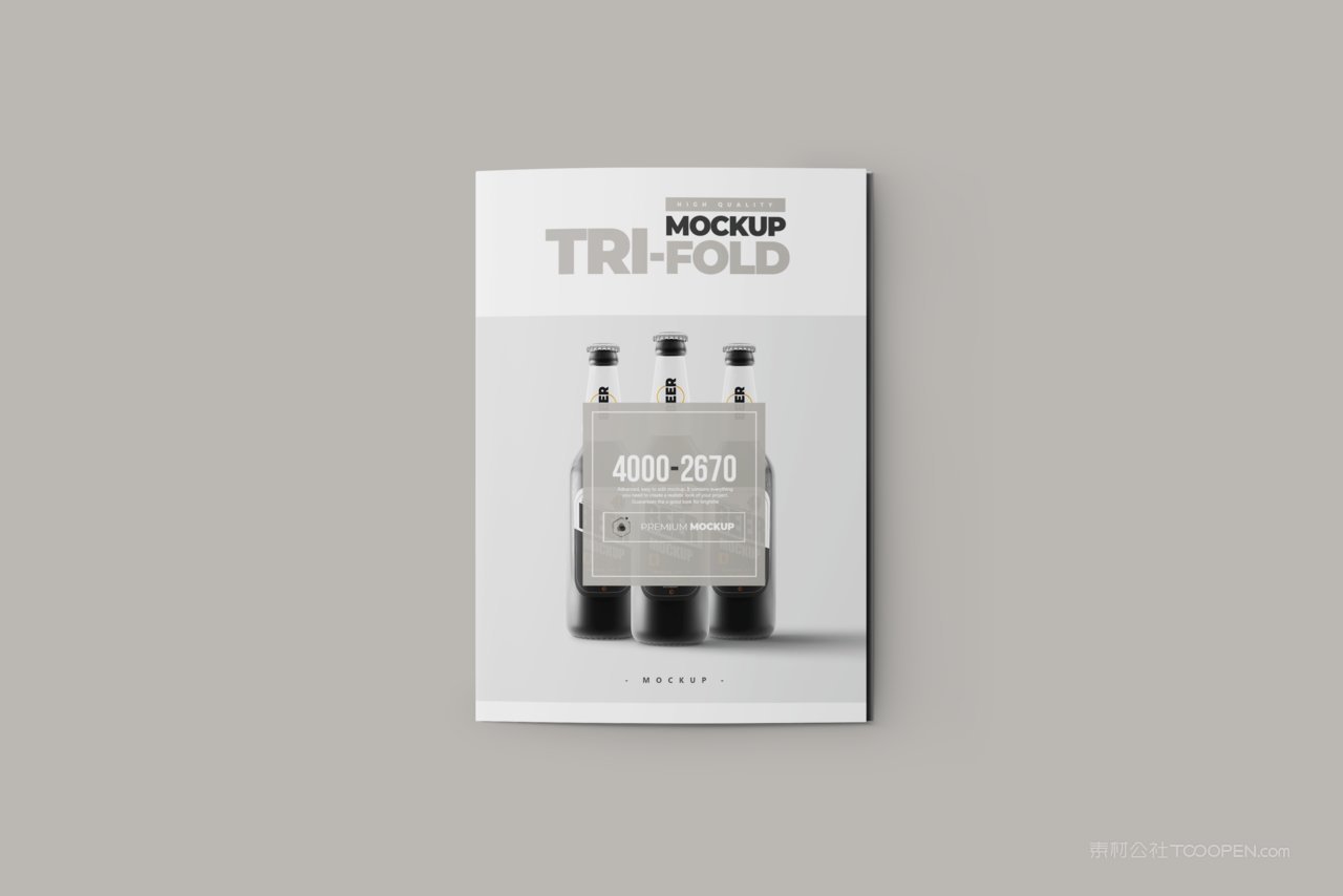 简洁商务宣传单页企业ps样机 (4)