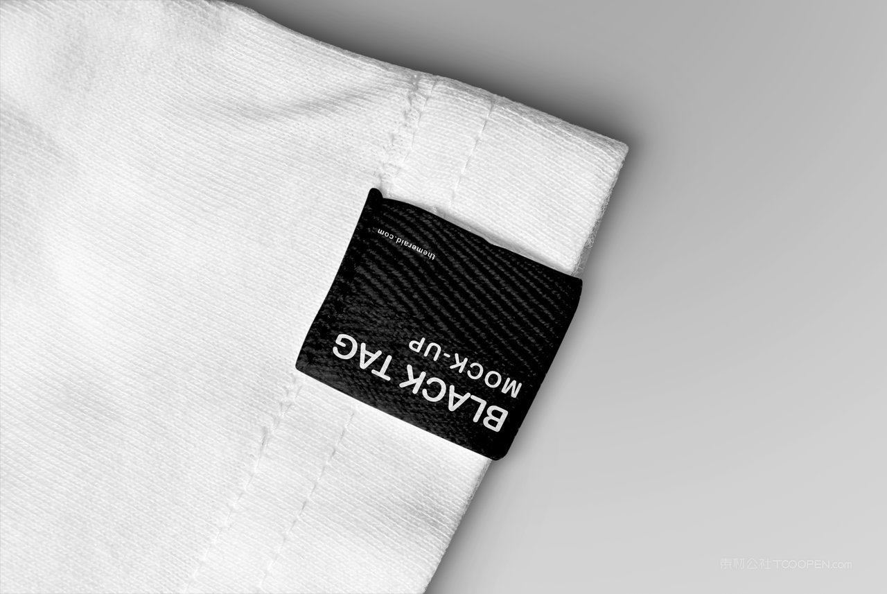 企业vi形象吊牌定制t恤样机 (34)