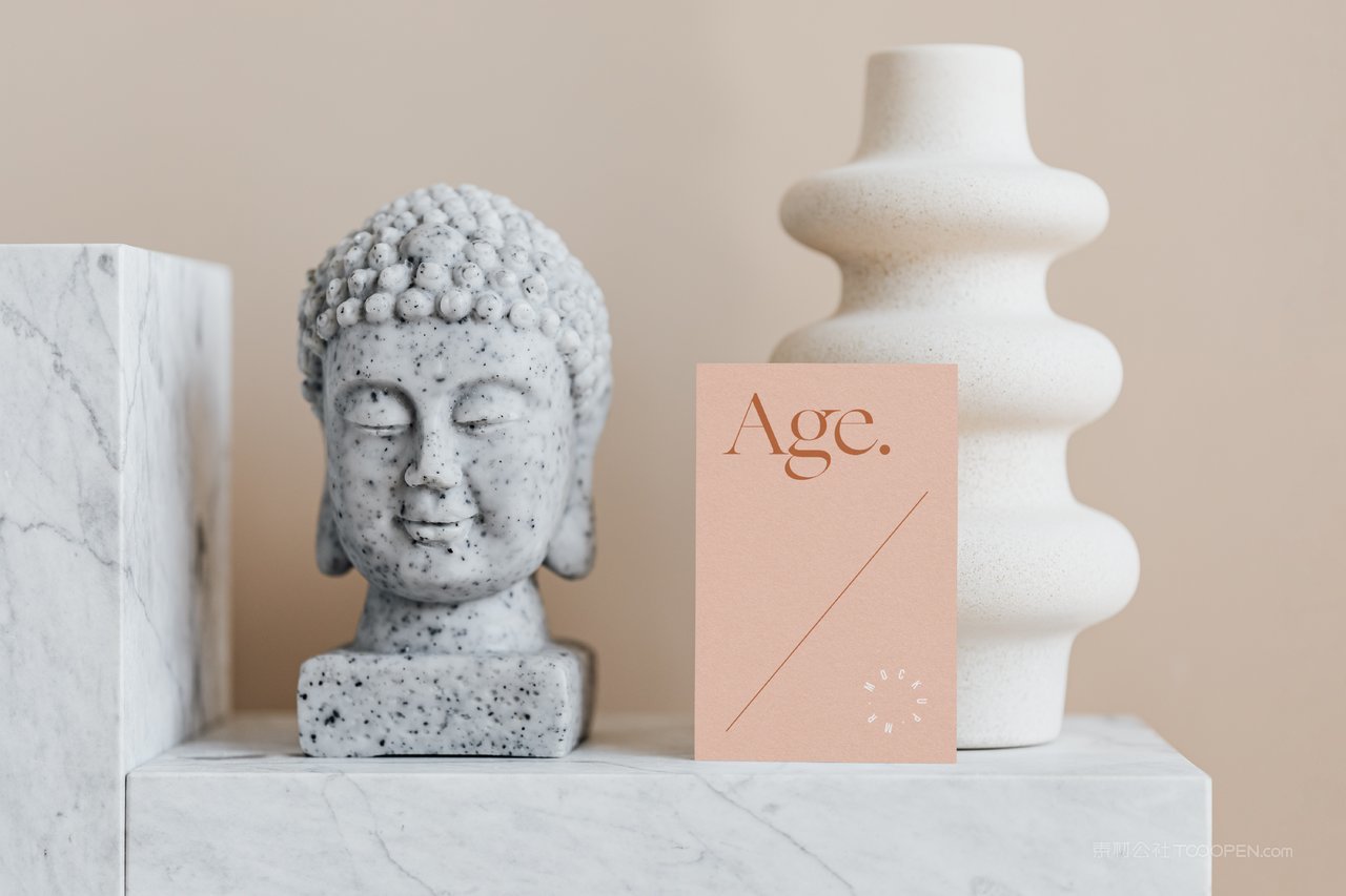 简约商务名片场景样机 (19)