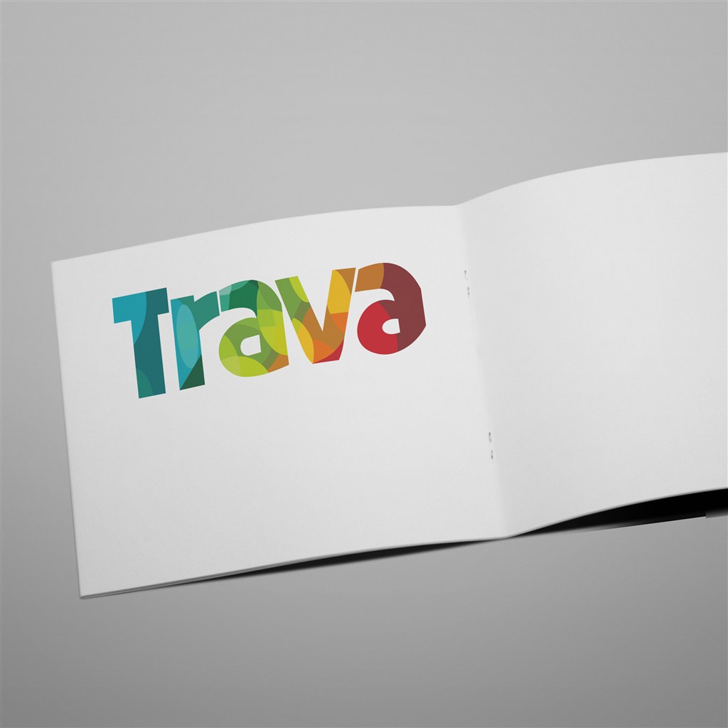 两折页宣传画册样机