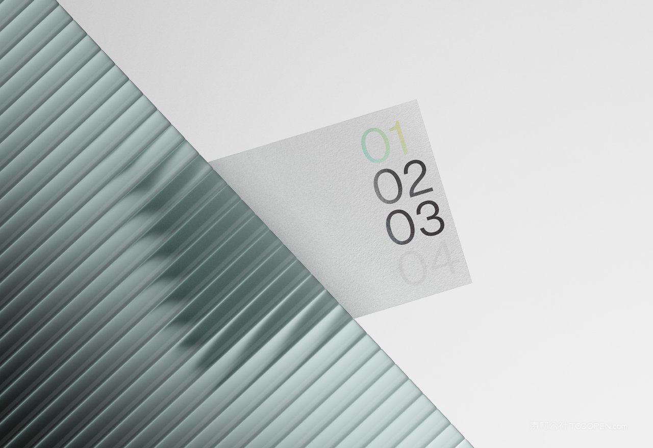 【2091期】商务黑冷淡风小众艺术样机 (11)