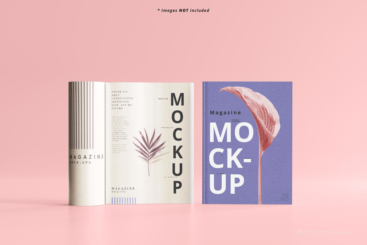 时尚a4杂志宣传画册样机