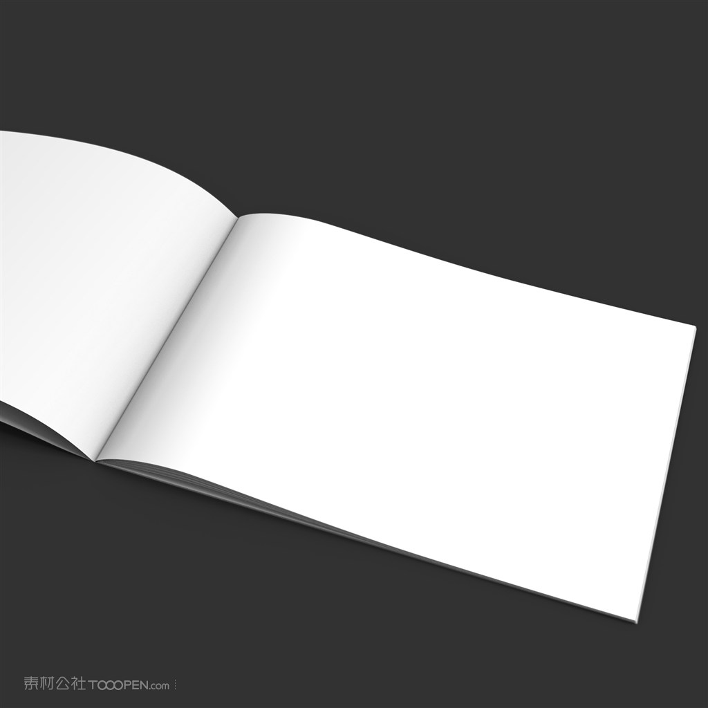 画册宣传册杂志展示样机