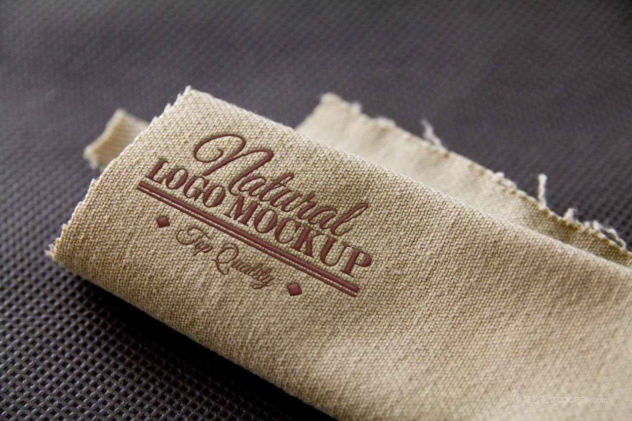 布料材质企业通用logo样机 (2)