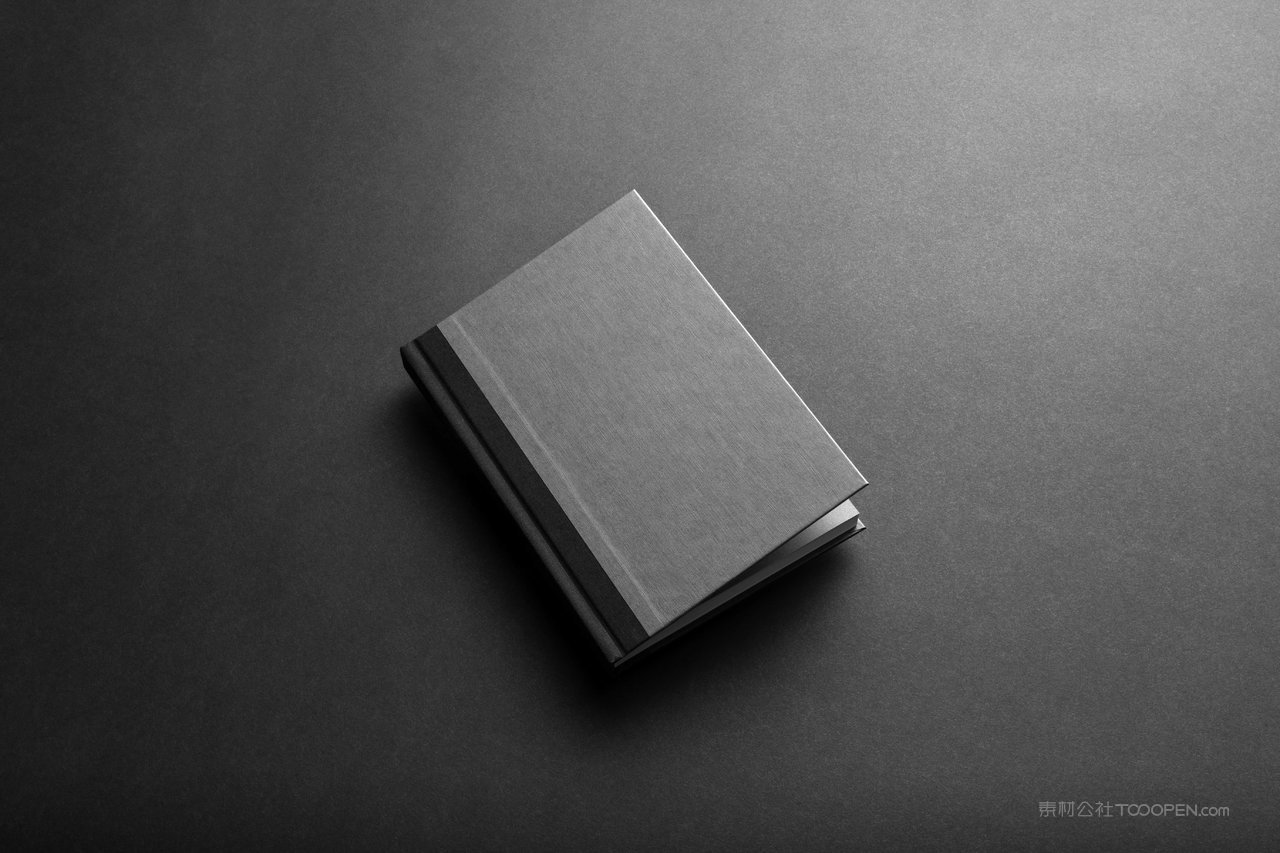 商务质感vi样机