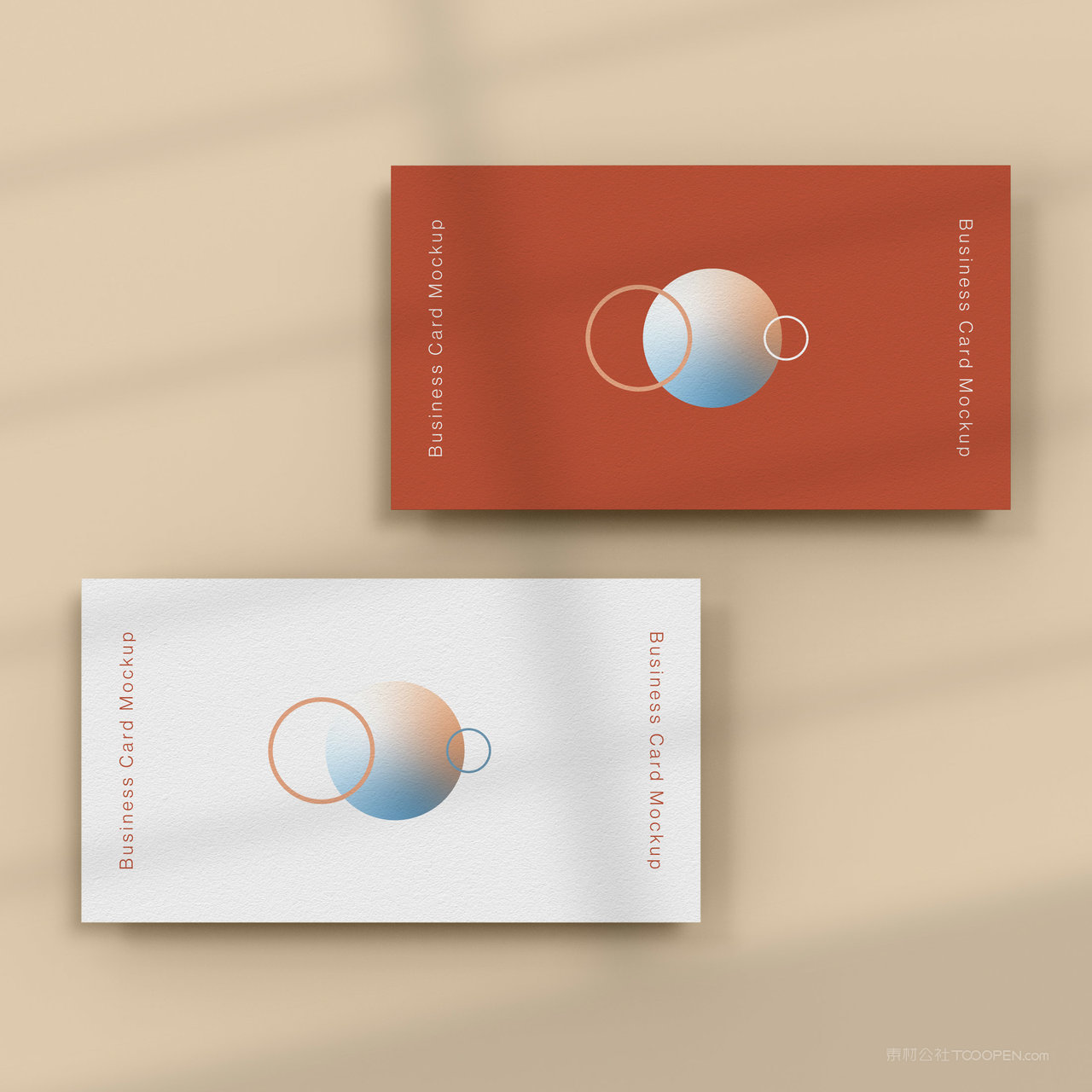 个性名片创意时尚名片正反面贴图样机